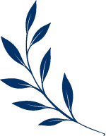 vectorize_019e305e-fbc8-78b5-af30-d356355e2aaf